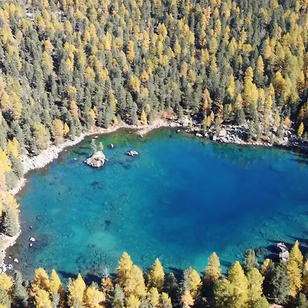 Schoene, Sonnige Parterrewohung 3 Zi. Mit Garten Διαμέρισμα *