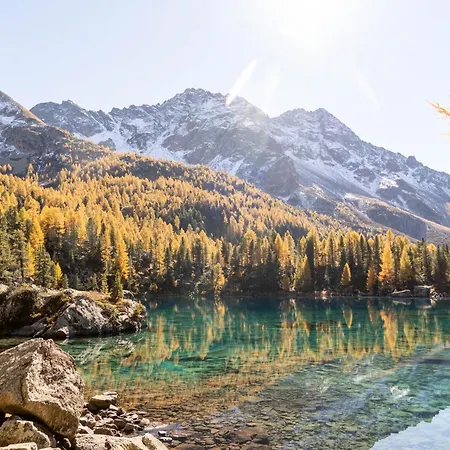 Schoene, Sonnige Parterrewohung 3 Zi. Mit Garten *